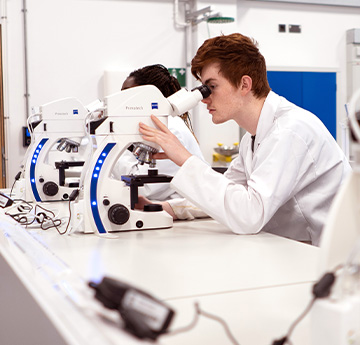 People in a lab looking through microscopes