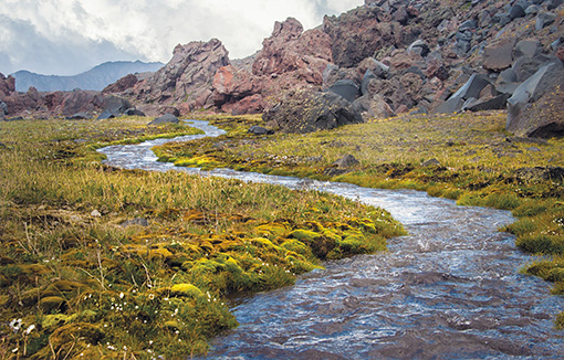 a mountain stream