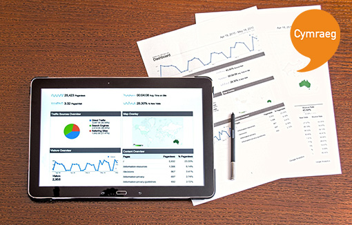 Dehongli eich canlyniadau 