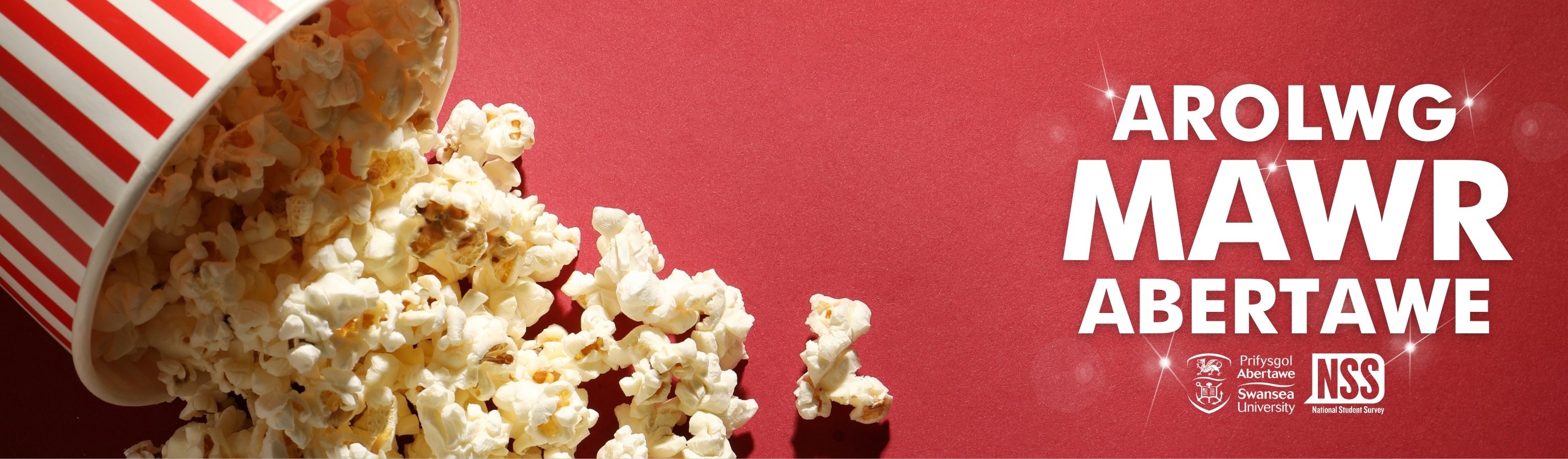 Big Swansea Survey logo. Popcorn spilling out of a cup.