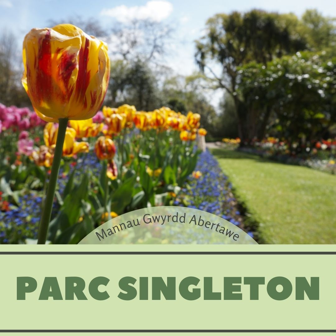 parc singleton