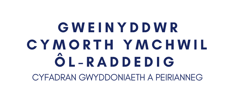 Arweinydd Cymorth Ymchwil &Ocirc;l-raddedig 