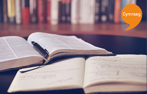 Darllen yn feirniadol