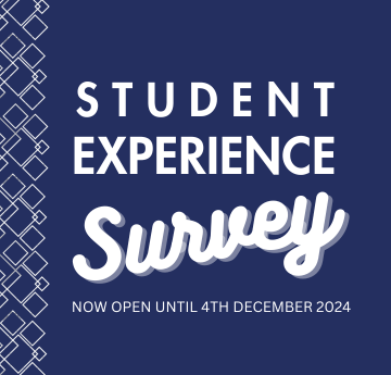 Student experience survey