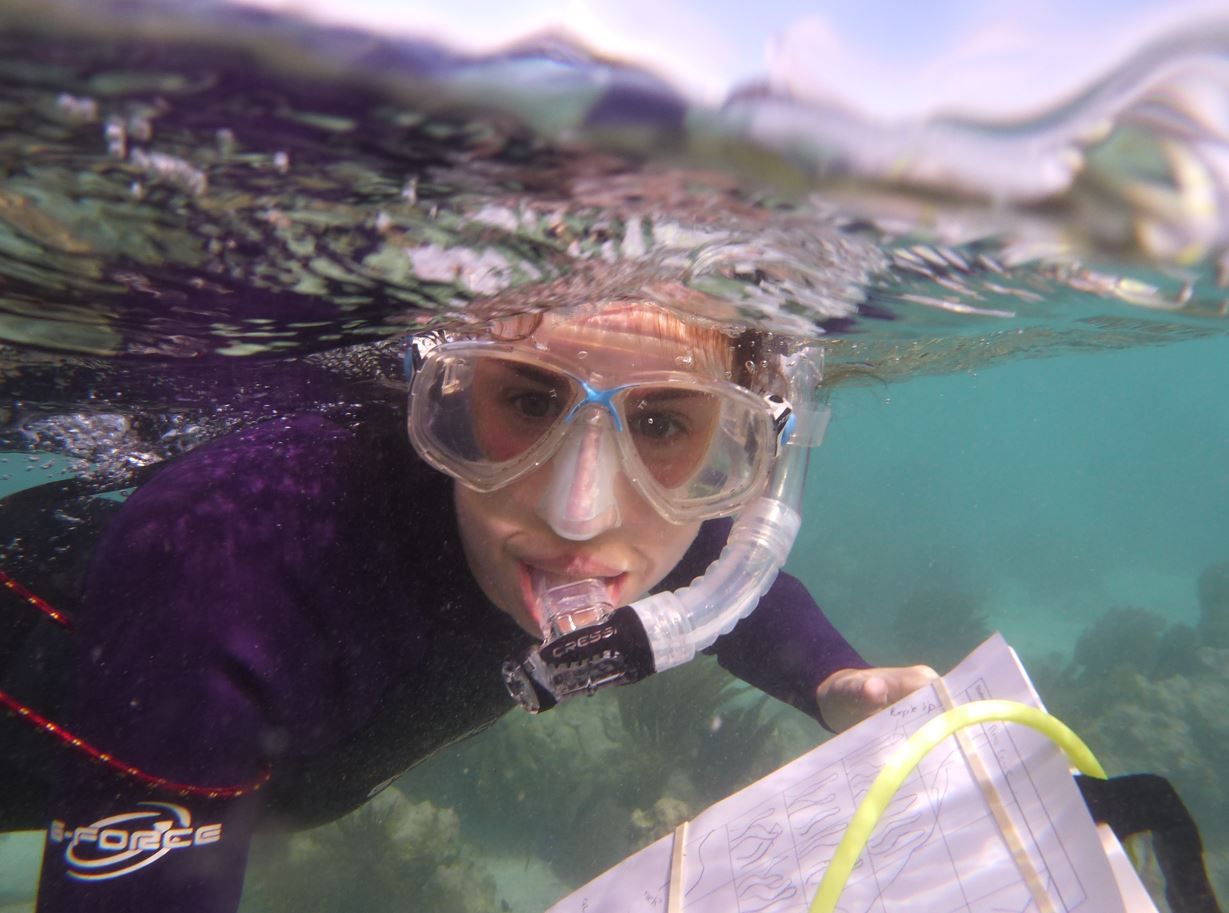 Person snorkelling