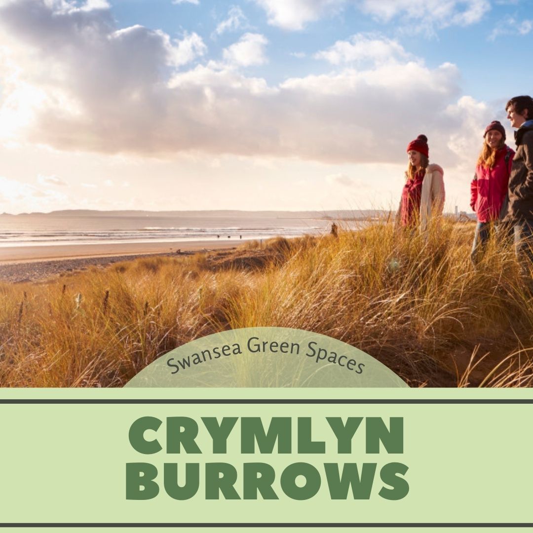 Crymlyn Burrows