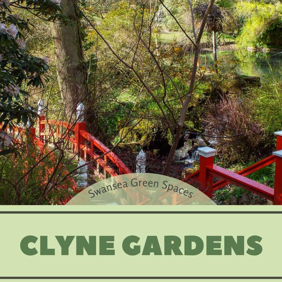 Clyne Gardens