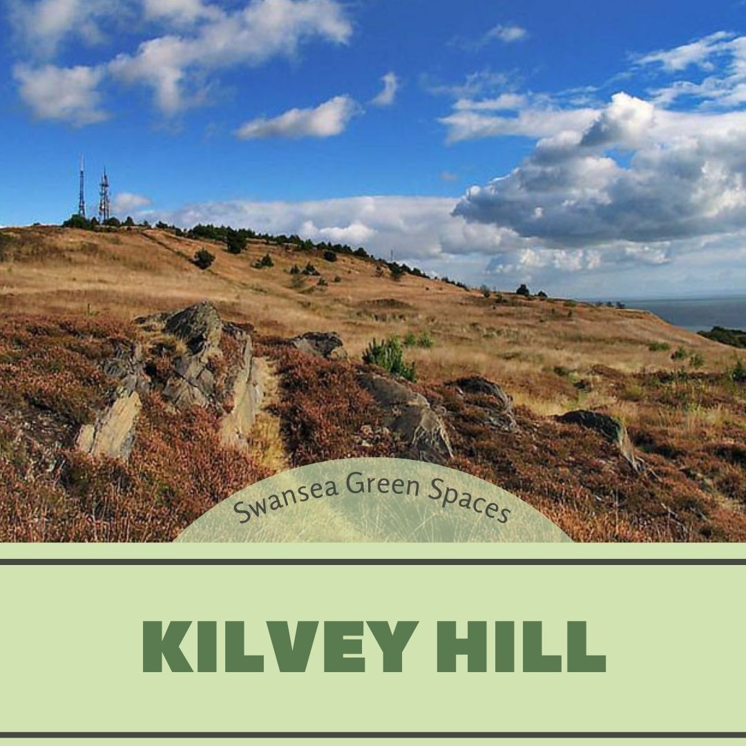 Kilvey Hill