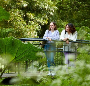 two girls on a bridge